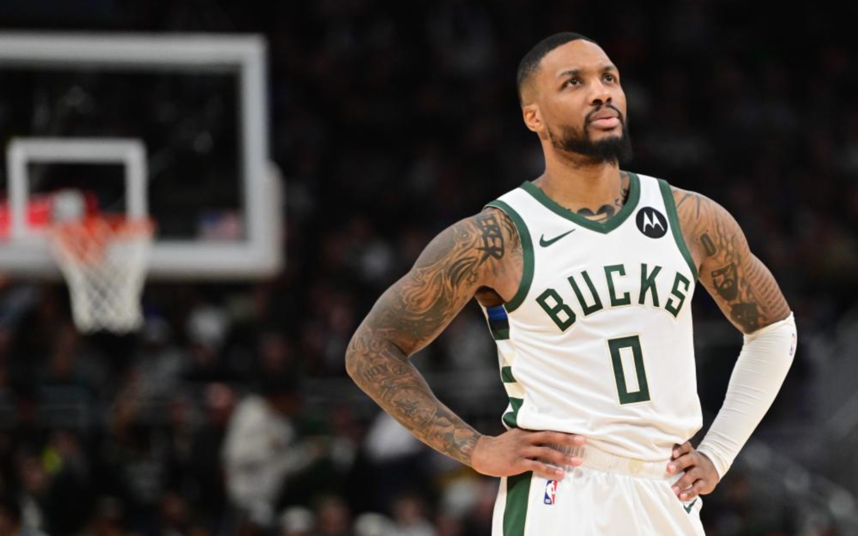 高等教育领 高等教育领